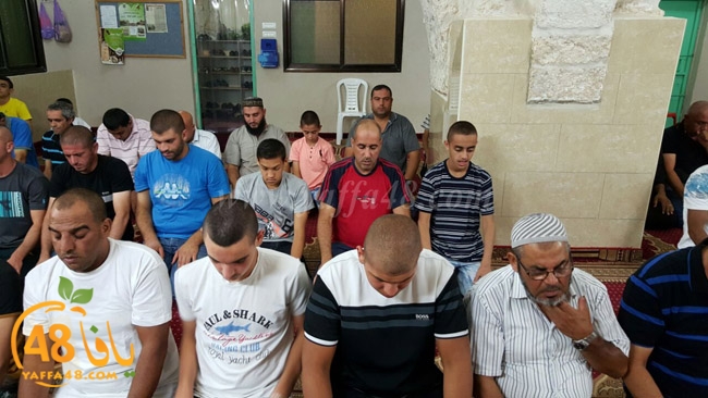 7ozaifa yaman (3).jpg